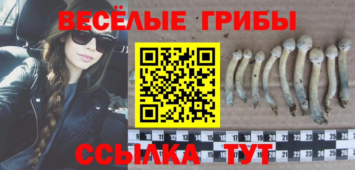 Шумерля  Галлюциногенные грибы Cubensis  Вход с VPN 